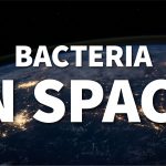 bacteria in space thumb picture