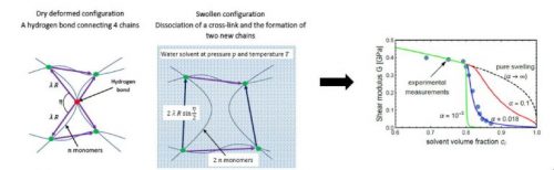 Design of New Swelling Induced Super-soft Polymers