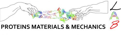 logo of the Proteins Materials and Mechanicsgroup