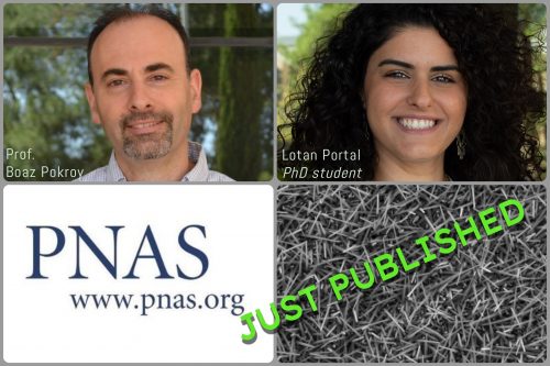 PNAS Publication